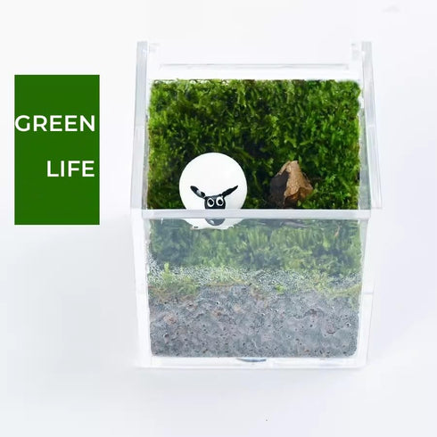 KissYou Clear Acrylic Box with Lid Cute Clip Organizer Dispenser for Desk Organizers Aesthetic Hair Accessories Organizer Easter Gift Box...