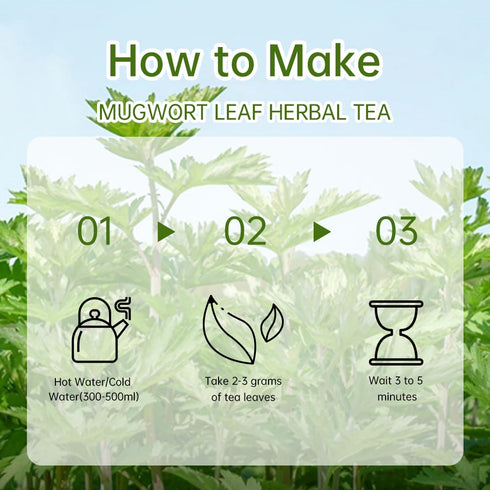 HANFANGLING Mugwort Leaf Herbal Tea Loose Leaf Natural Mugwort Sprouts 1.76oz...