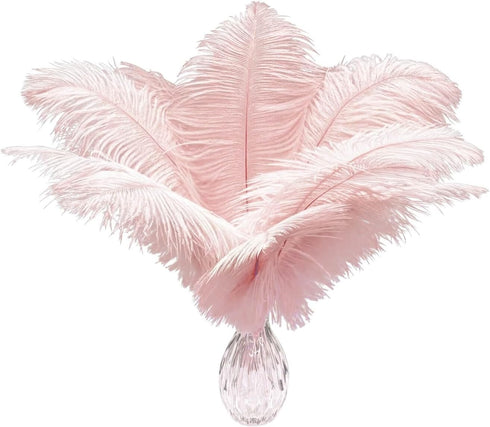 Piokio 20 pcs Natural Light Pink Ostrich Feathers 12-14 inch(30-35 cm) Bulk for Wedding Party Centerpieces and DIY Clothes Decoration, Gatsby Deco...
