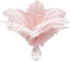 Piokio 20 pcs Natural Light Pink Ostrich Feathers 12-14 inch(30-35 cm) Bulk for Wedding Party Centerpieces and DIY Clothes Decoration, Gatsby Deco...