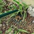 Weeding Artifact Uprooting Weeding Tool Claw Gloves Kit, 6 Teeth Dual Purpose Weed Puller, for Yard Farm Gardening Cultivating Loosening Weeding M...