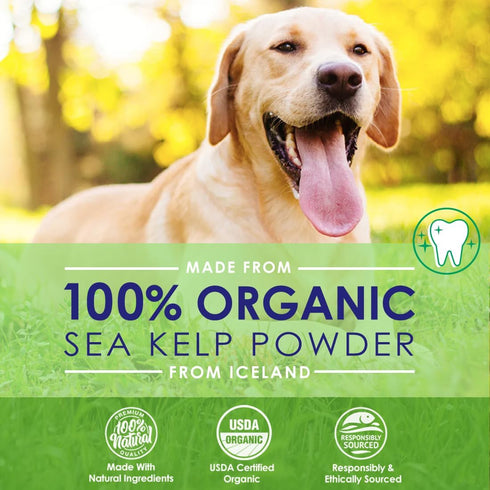 Dog Teeth Cleaning Powder, Dog Plaque and Tartar Remover, Bad Breath Treatment for Dogs with USDA Organic Sea Kelp Powder, Dog Dental Care Made Ea...