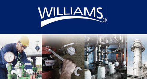 Williams JHWS-52ARK Ratchet Repair Kit for 1/2-Inch Drive Round Head Ratchets...