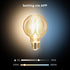 Linkind G25 Globe Smart Edison Bulbs, 2700K-6500K Tunable and Dimmable WiFi Edison Bulbs, 8W(60W Equivalent) Vintage Light Bulbs 800lm, Compatible...