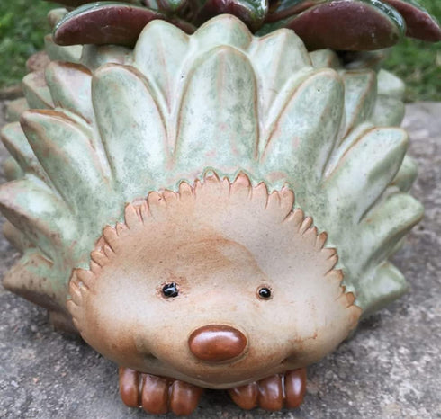 Cute Hedgehog shaped Vase Pot Home Decoration for small Succulent Plants Cartoon Flower Pot Hedgehog Succulent planter with drainage hole succulen...