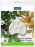 Flower Pro Blackberry & Oak Leaves Silicone Mold For Cake Decorating & Craft. For Fondant, Sugar Paste & Air Dry Clay from Katy Sue Designs Fondan...