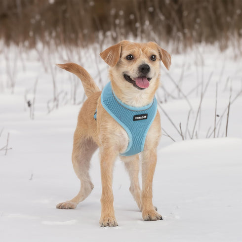 Aerolite No Pull Mesh Dog Harness with Lightweight, Soft, Breathable Chest Coverage, Reflective Stitching, and Adjustable Straps for Walking, Runn...