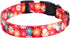Rhea Rose 3/4 Inch Replacement Collar Strap Shock Collar with 2 Holes, Compatible with Nearly All Brands and Models of Underground Electric Dog Fe...