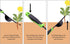 Weeding Tool, Heavy-Duty Weeder, Leverage Design Weed Puller Tool Removal and Deep Digging, Ergonomic Handle and Two-Pronged V-Shaped Fork...