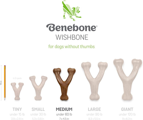 Benebone 2-pack Fishbone/Wishbone Durable Dog Chew Toys, Real Fish, Real Bacon, Made in USA, Medium...