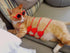 Pet Cat Bikini,Pure Handmade Cat Costume Funny Pet Clothes Small Dog Costumes Clothes(Pink, Large)...