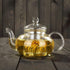 Glass Teapot 20oz with Infuser,Borosilicate Kettle Set Tea Pot for Loose Tea, Flowering Teas,Stovetop and Microwavable Safe(600ml)...