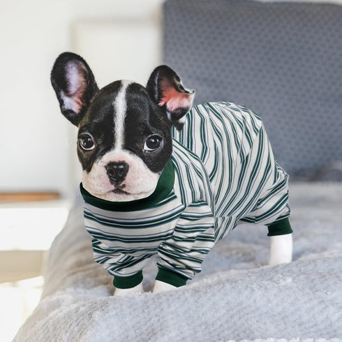FEimaX Dog Recovery Suit After Surgery, Puppy Spay Neuter Prevent Licking Onesie Alternative Bandages E-Collar & Cone, Pet Abdominal Wounds Post S...