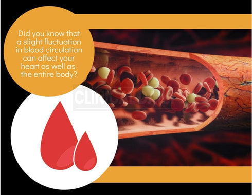 Clinical Daily Blood Circulation Supplements. Butchers Broom, Horse Chestnut, Hawthorn, Cayenne, Arginine, Diosmin Varicose Veins Treatment for Le...