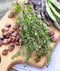 Seeds Sweet Summer Savory Medicinal Heirloom Herbs Non GMO for Planting...