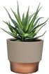 The HC Companies 5 Inch Sprite Round Planter - Small Plastic Plant Pot with Drainage for Indoor Outdoor Plants, Artisian Taupe...
