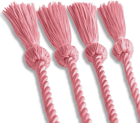 Endea Graduation Double Honor Cord (Pink)...