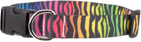 Buttonsmith Rainbow Zebra Dog Collar - Made in The USA - Fadeproof Permanently Bonded Printing, Military Grade Rustproof Buckle, Choice of 6 Sizes...