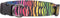 Buttonsmith Rainbow Zebra Dog Collar - Made in The USA - Fadeproof Permanently Bonded Printing, Military Grade Rustproof Buckle, Choice of 6 Sizes...