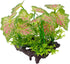 Smoothedo-Pets Aquarium Plants Fish Tank Decorations 2pcs Plastic Artificial Plant Goldfish Waterscape Fish Hides (Rainforest Leaf-Pink-Small-Set)...