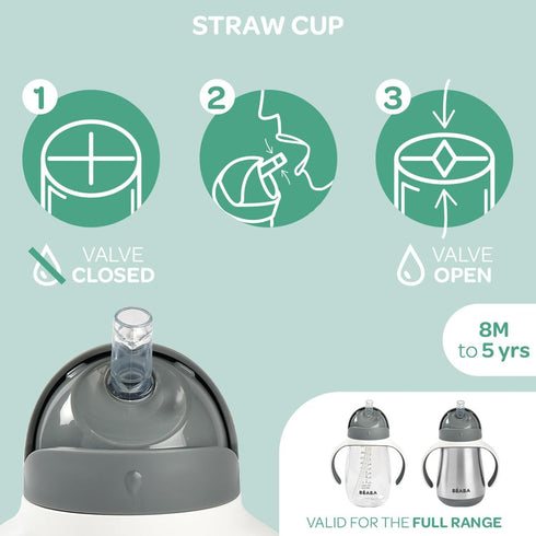 Beaba Straw Sippy Cup, Toddler Baby Straw Cup with Removable Handles, Leak and Spill Proof, BPA Phthalate Free, 8+ months, 10 oz, (Rose)...