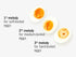 BrainStream BeepEgg Basic Egg Timer - Plays Tunes When Eggs are Ready, Works with Any Egg Size, Temperature-Sensitive for Precise Cooking, Made in...