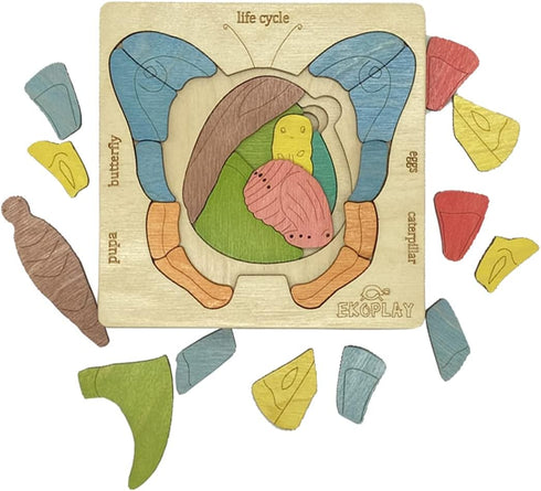 LIFE CYCLE of A BUTTERFLY | 31 Piece Wooden Multilayered Jigsaw Puzzles for Kids | Educational Toy and Gift for Boys & Girls 3 Years and above...