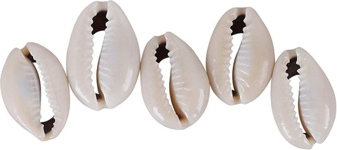 120 PCS Grey 0.71"-0.79" ?18-20mm? Natural Strong Cowrie Shell Beads Smooth Cut Oval Seashells, Beach Seashells with Big Hole for DIY Craft Jewelr...