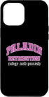 iPhone 14 Pro Max Paladin Funny Character Roleplaying RPG Gamer Case...