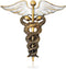Golden Caduceus Symbol Brooch Pin Jewelry Gift for Dcotor Medicine Emergency Medical Service EMT...