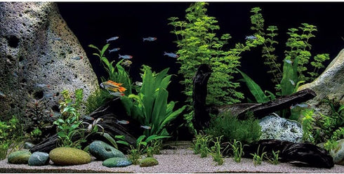AWERT Vinyl Underwater Aquatic Plant Fish Tank Background Stone River Bed & Lake Aquarium Background 72x24 inches...