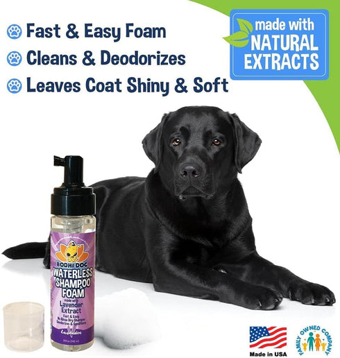 Bodhi Dog Waterless Foaming Shampoo | Natural Pet Shampoo for Dogs & Cats | Waterless Dry Shampoo for Bathless Cleaning | No Rinse Required | Made...