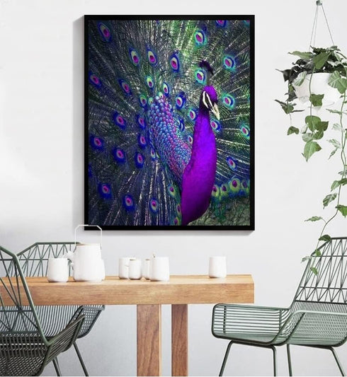 BOMUVI Paint by Number for Adults Beginner Paint by Numbers for Adults Peacock Paint by Number Kits Acrylic Painting Paint by Number Kits on Canva...
