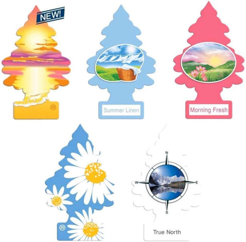 Little Trees Variety Pack (5 Count) The Sweet Outdoors Edition...