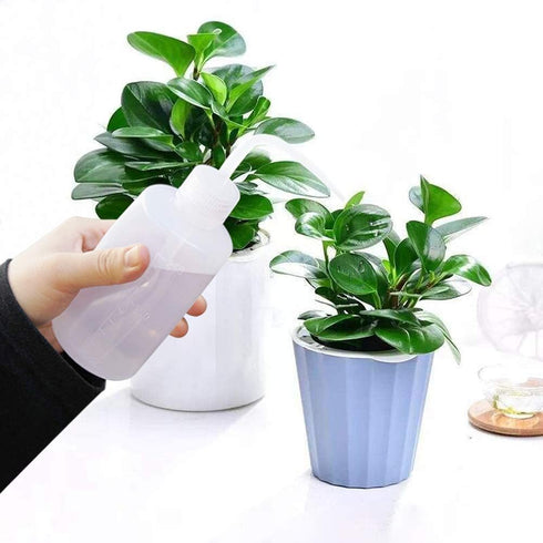 Watering Bottle Garden Tools Watering Can with Narrow Mouth Plant Flower Succulent Plastic Squeeze Bottle (250ml+250ml)...