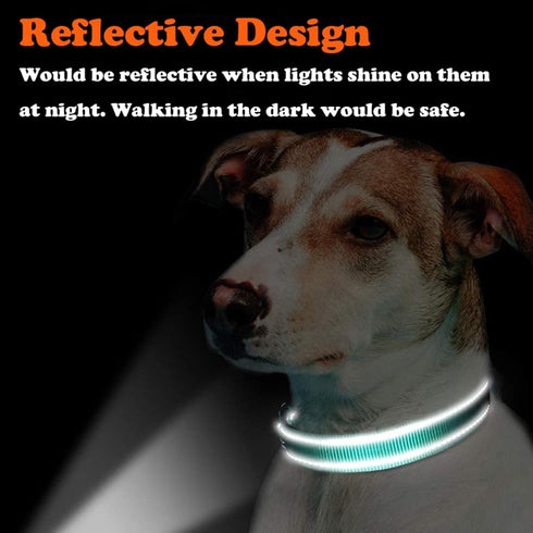 Martingale Dog Collar with Stainless Steel Chain, Adjustable Soft Padded Nylon Reflective Collar, No Pull Heavy Duty Chain Walking Training Collla...