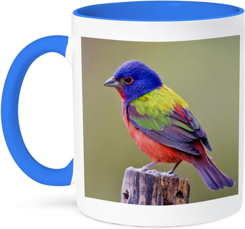 3dRose Painted Bunting Male Bird Perched Mug, 11 oz, Blue...