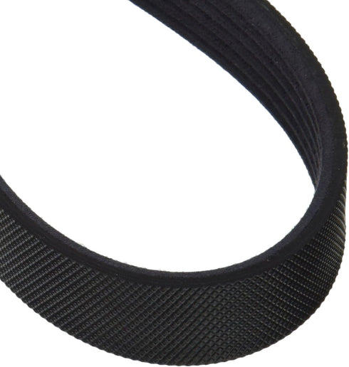 Motorcraft- JK6645 Drive Belt...