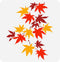 FINGERINSPIRE Maple Leaf Stencil for Painting 11.8x11.8inch Leaf Pattern Drawing Template Maple Leaf Branch Painting Stencil Plastic Foliage Hollo...
