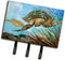 Caroline's Treasures JMK1118TH68 Loggerhead Sea Turtle Leash or Key Holder, Wall Hooks, Key Hooks Holder, Coat Rack Wall Mount, Coat Hooks, Hooks ...