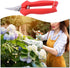Pruning Shears Steel Tree Trimmer Garden Secateurs for Tree Branch Hedge Fruits Vegetables Plants...