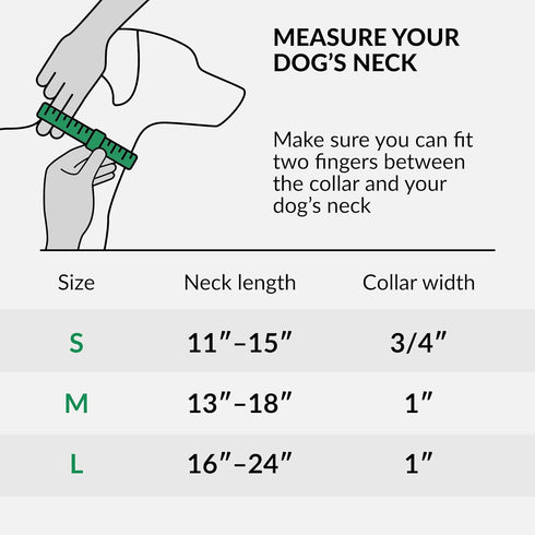 CollarDirect Reflective Martingale Dog Collar Nylon Heavy Duty Training Pet Collars for Small Medium Large Dogs Puppy Black Blue Mint Green Red Pi...