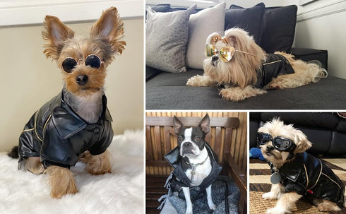 Dog Winter Coat Pu Leather Motorcycle Jacket for Dog Pet Clothes Leather Jacket, Waterproof(S)...