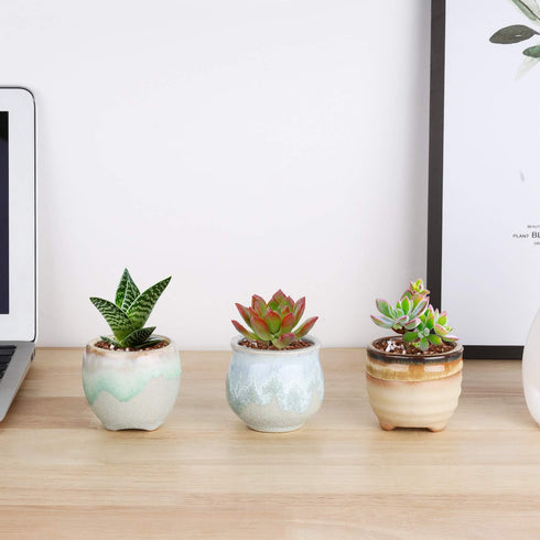 T4U Small Ceramic Succulent Pots with Drainage Set of 3, Mini Pots for Plants, Tiny Porcelain Planter, Air Plant Flower Pots Cactus Faux Plants Co...