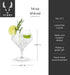 Viski Raye Angled Stemmed Gin and Tonic Glasses Set of 2 - Premium Crystal Clear Cocktail Gin Glasses for Gin Lovers Gift Set - 14oz...
