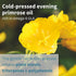 Vegepa Omega 3 Wild Fish Oil & Evening Primrose Oil Blend, 560 mg EPA Plus GLA, 60 Small Softgels...
