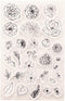 Flowers Clear Stamps for Card Making Bud Leaves Transparent Silicone Stamp DIY Scrapbooking Supplies Embossing Paper Card Album...