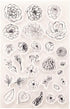 Flowers Clear Stamps for Card Making Bud Leaves Transparent Silicone Stamp DIY Scrapbooking Supplies Embossing Paper Card Album...
