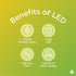 GE Basic LED Light Bulbs, 75 Watt, Daylight, A19 (2 Pack)...