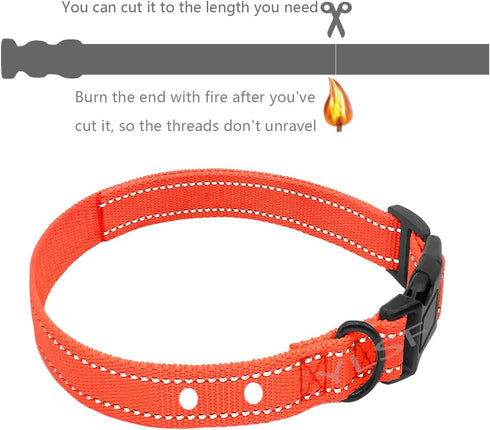 Dog Nylon Collar Strap for Heavy Light-Duty Electronic Fence Training Barking Collar Receivers-3/4 Inch Replacement Strap-Compatible with Nearly A...